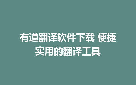 有道翻译软件下载 便捷实用的翻译工具