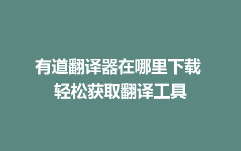 有道翻译器在哪里下载 轻松获取翻译工具