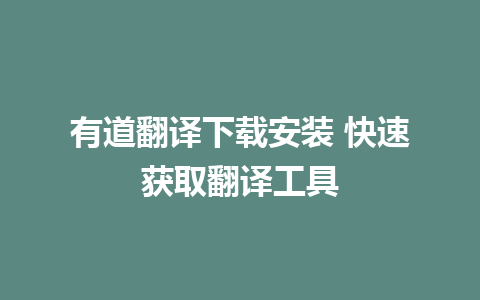 有道翻译下载安装 快速获取翻译工具