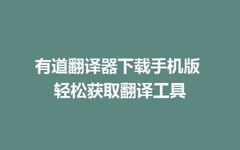 有道翻译器下载手机版 轻松获取翻译工具