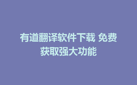 有道翻译软件下载 免费获取强大功能