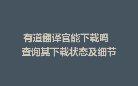 有道翻译官能下载吗  查询其下载状态及细节