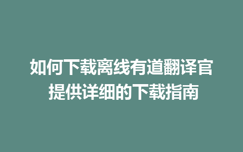 如何下载离线有道翻译官 提供详细的下载指南