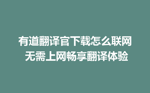 有道翻译官下载怎么联网 无需上网畅享翻译体验