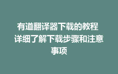 有道翻译器下载的教程 详细了解下载步骤和注意事项