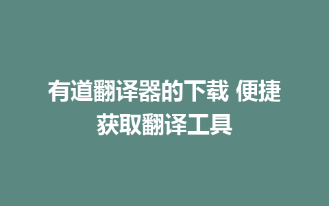 有道翻译器的下载 便捷获取翻译工具