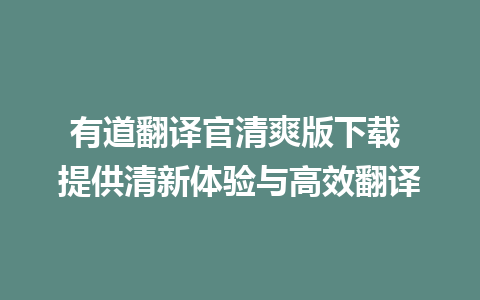 有道翻译官清爽版下载 提供清新体验与高效翻译