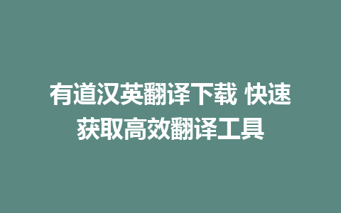 有道汉英翻译下载 快速获取高效翻译工具