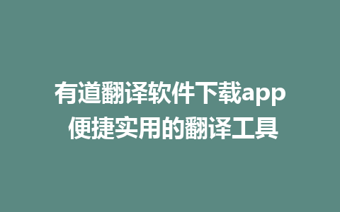 有道翻译软件下载app 便捷实用的翻译工具