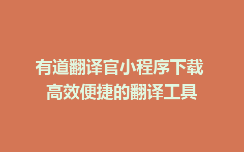 有道翻译官小程序下载 高效便捷的翻译工具