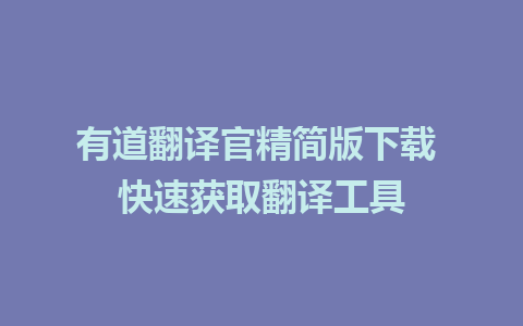 有道翻译官精简版下载 快速获取翻译工具