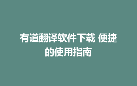 有道翻译软件下载 便捷的使用指南