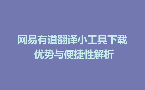 网易有道翻译小工具下载 优势与便捷性解析