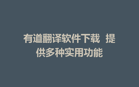 有道翻译软件下载  提供多种实用功能